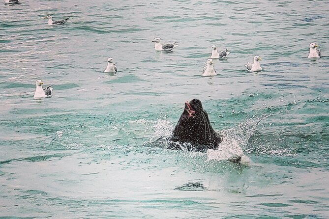 4-day-alaska-seward-camping-adventure-from-anchorage