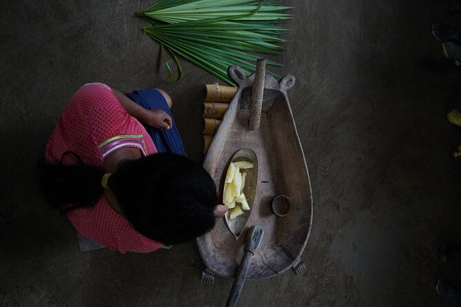 4-day-all-inclusive-amazon-adventure-explore-napos-rainforest