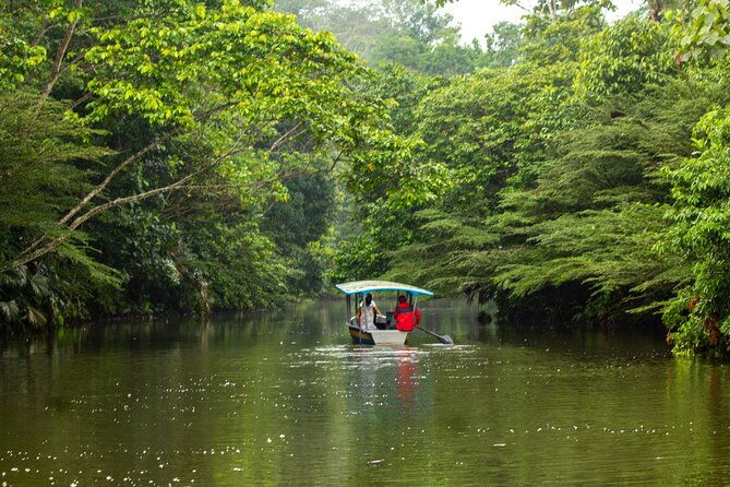 4-day-all-inclusive-amazon-adventure-explore-napos-rainforest