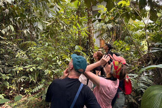 4-day-all-inclusive-amazon-jungle-adventure-transfer-from-quito