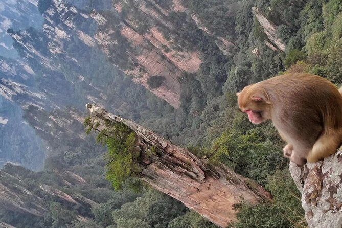 4-day All Inclusive Tour to Zhangjiajie & Fenghuang from Changsha - FAQs