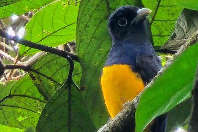 4-day-amazon-and-andes