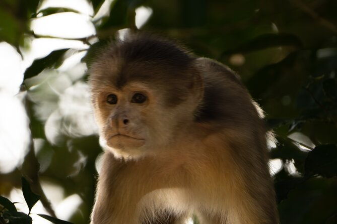4-day-amazon-and-andes