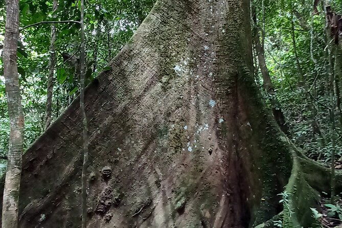 4-day-amazon-and-andes