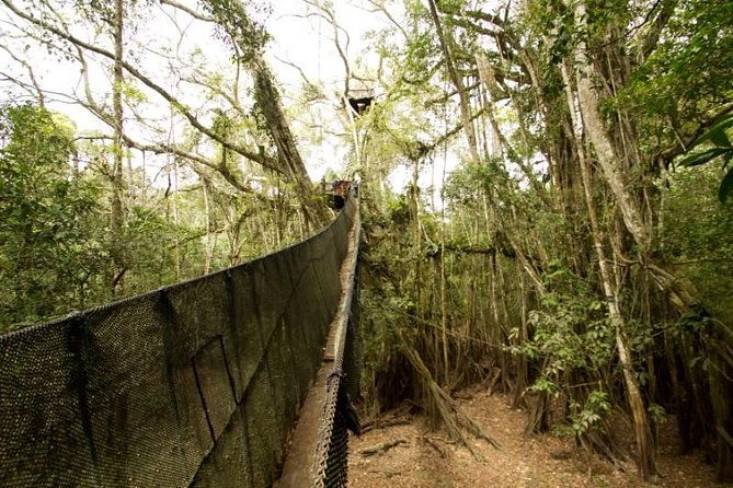 4-day-amazon-eco-lodge-tour-from-puerto-maldonado