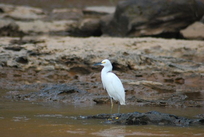4-day-amazon-jungle-tour-at-eco-amazonia-lodge