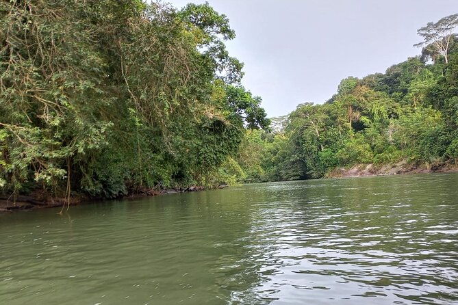 4-day-amazon-rainforest-with-night-at-papallacta-hot-springs