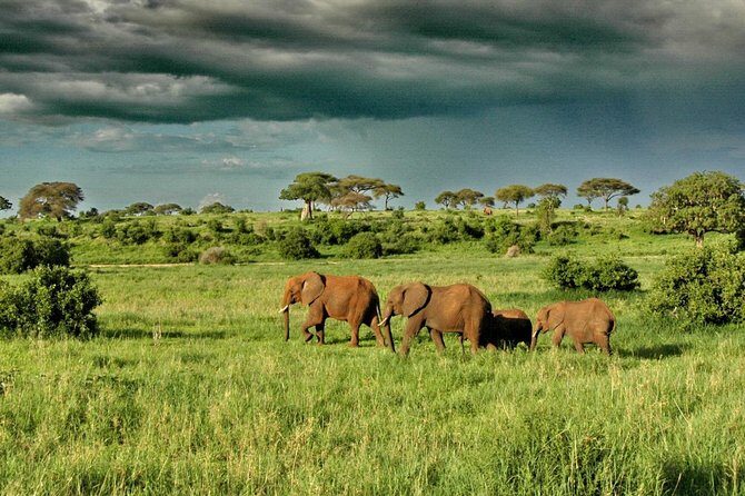 4 Day: Astonishing Group Safari - Flexibility and Personalization