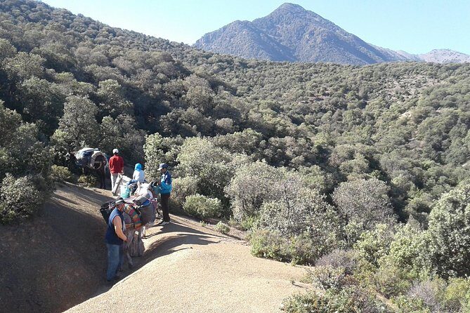 4-Day Atlas Mountains Family Trek - Authentic Experiences and Highlights