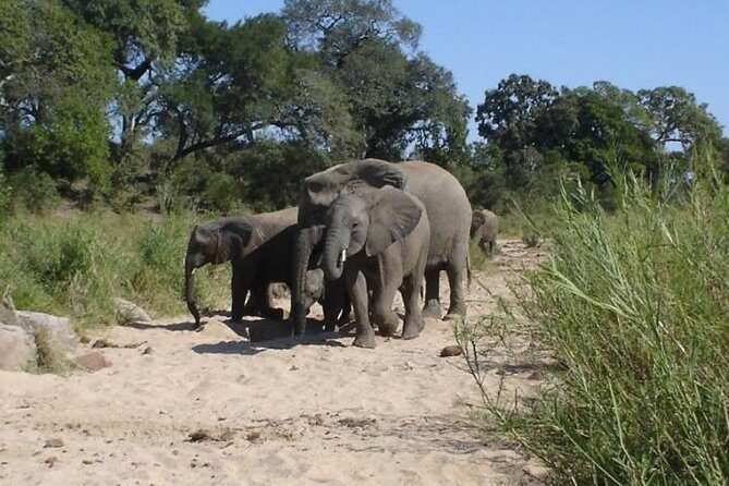 4-Day Best Of eSwatini Tour- The African experience - Final Thoughts