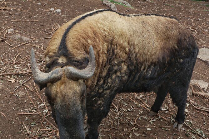 4 Day Bhutan at Glance - Final Thoughts