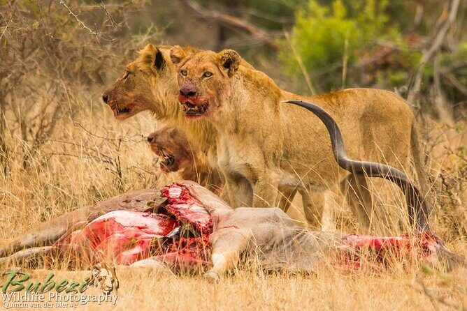 4 Day Bubezi Classic Safari & Panoramic Tour - Final Thoughts