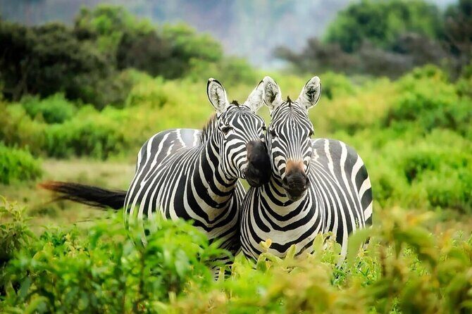 4-Day Budget Tarangire, Serengeti, Ngorongoro Safari Guided Tour - Why This Tour Offers Value