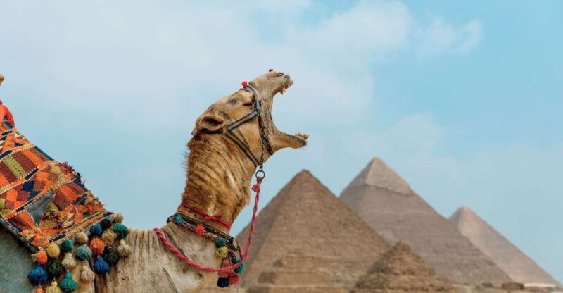 4 Day: Cairo Short Break - Key Points