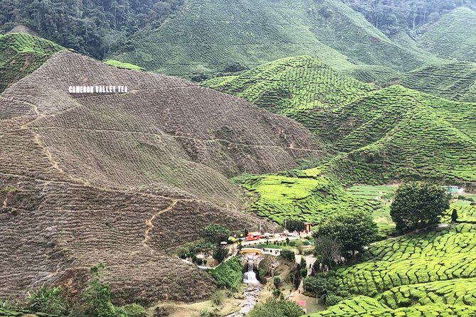 4-Day Cameron Highland and Penang Tour from Kuala Lumpur - Transportation, Accommodation, and Value