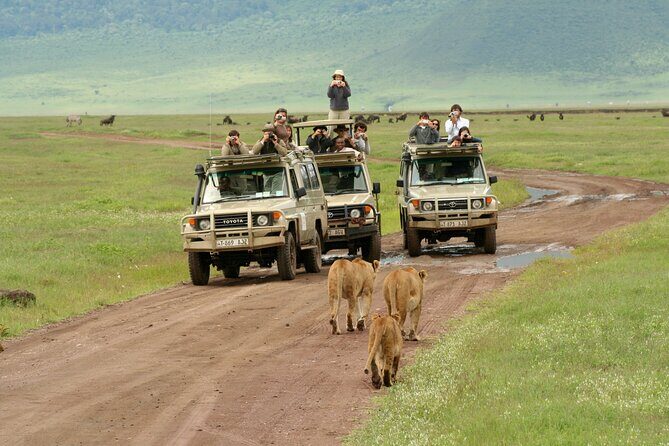 4-Day Camping on the Big Five Private Safari - Who This Safari Is Perfect For