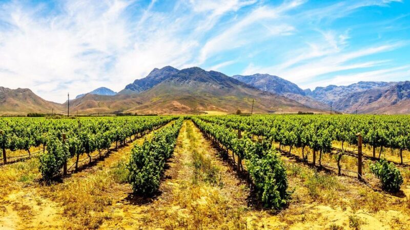 4 Day Cape Town Essential Tour & Big 5 Safari At Inverdoorn - Key Points  
