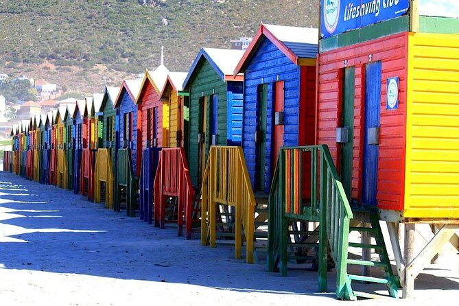 4 Day Cape Town Essential Tours & Overnight Big 5 Safari At Inverdoorn - Key Points