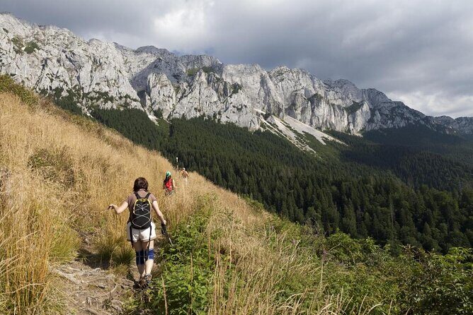 4-Day Carpathian Trek: Bucegi Mountains and Piatra Craiului National Park - Key Points