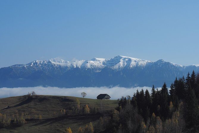 4-Day Carpathian Trek: Bucegi Mountains and Piatra Craiului National Park - Who Should Consider This Tour?