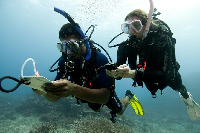 4 Day Certified PADI Open Water Scuba Diver in Dubai - Final Thoughts
