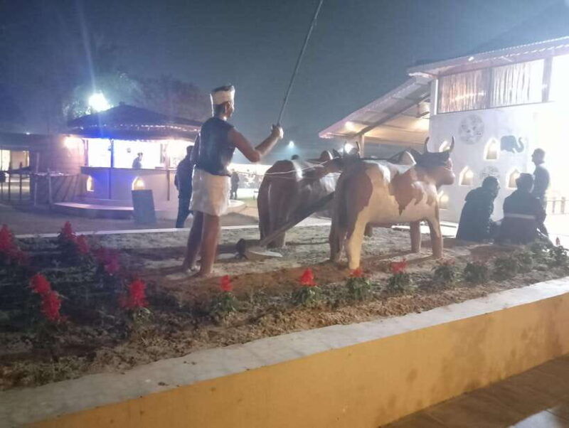 4-day-chitwan-jungle-safari-with-tower-night-stay-tour