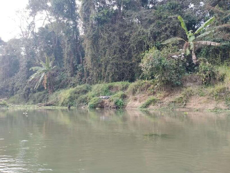 4-day-chitwan-jungle-safari-with-tower-night-stay-tour