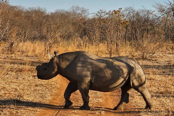 4 Day Chobe Safari Park and Victoria Falls Combo - Final Thoughts