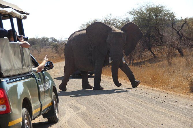4 Day Classic Kruger National Park Safari - Why This Tour Is Perfect for You