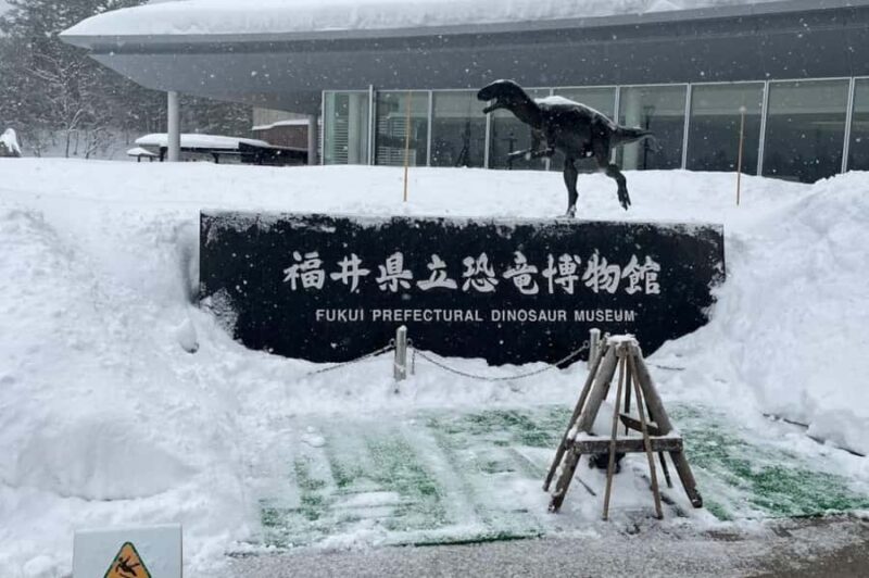 4-Day Cultural Tour from Tokyo to Kanazawa & Fukui - Who Should Consider This Tour?