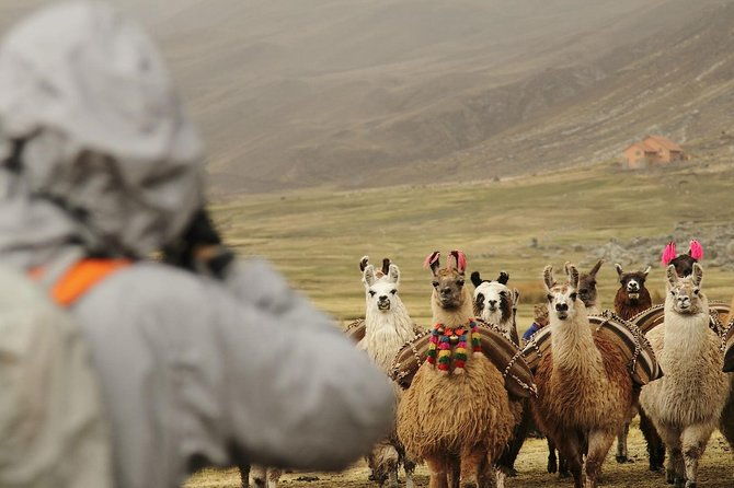 4-day-cusco-machupicchu-rainbow-mountain-city-tour