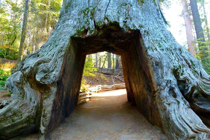 4-day-death-valley-yosemite-san-francisco-from-las-vegas-camp-or-lodge