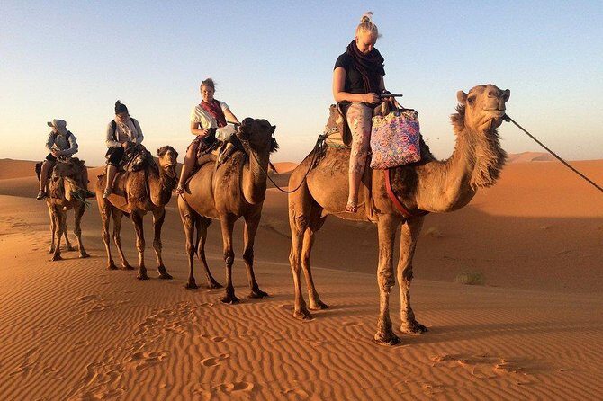 4-Day Desert Tour with 2-nights Glamping Experience: the Best for desert lovers - What’s Included and What’s Not?