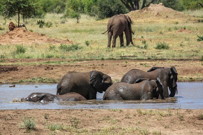 4-Day Discover Victoria Falls, Chobe and Hwange Park - Frequently Asked Questions