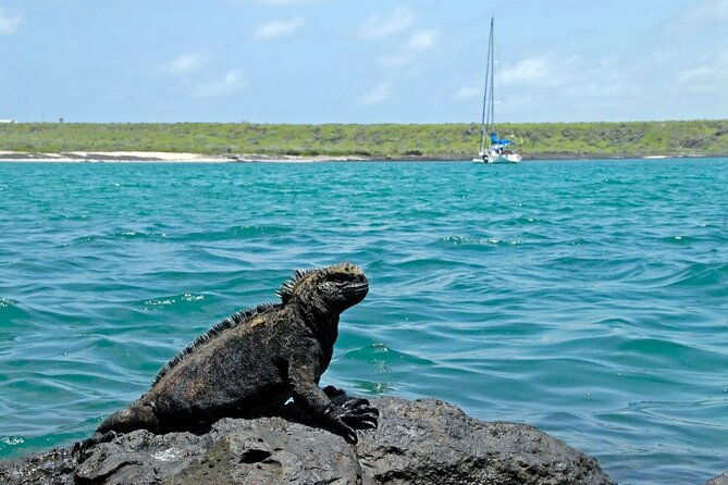 4-day-galapagos-classic-tour-santa-cruz-bartolome-or-seymour