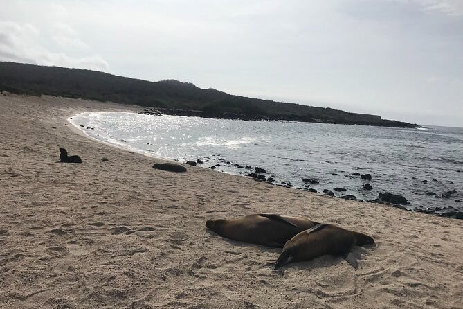 4-day-galapagos-classic-tour-santa-cruz-bartolome-or-seymour