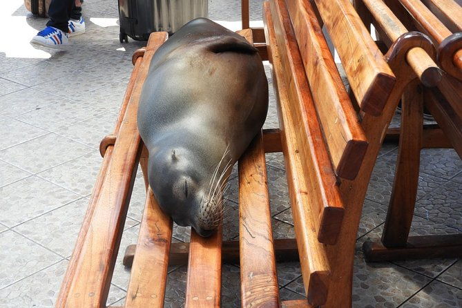 4-day-galapagos-classic-tour-santa-cruz-bartolome-or-seymour