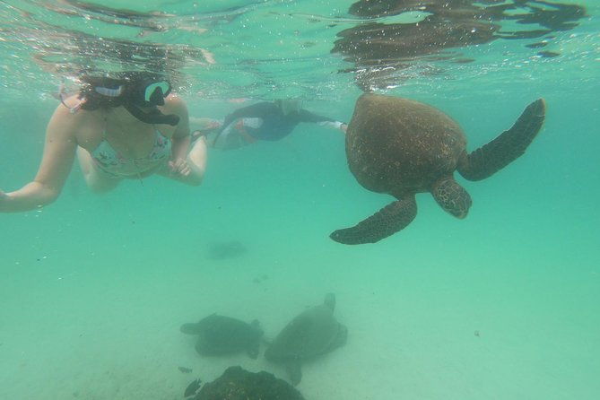 4-day-galapagos-classic-tour-santa-cruz-bartolome-or-seymour