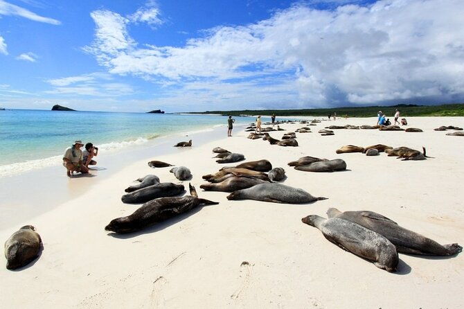 4-day-galapagos-island-hopping-tour-isabela-boat-tours-and-airport-transfer