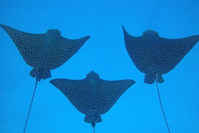 4-day-galapagos-land-tour-san-cristobal-and-santa-cruz-island