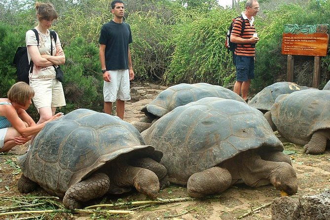 4-day-galapagos-land-tour-san-cristobal-and-santa-cruz-island
