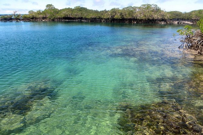 4-day-galapagos-land-tour-visiting-isabela-and-santa-cruz