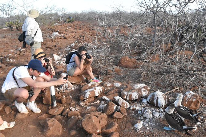 4-day-galapagos-tour-santa-cruz-2-uninhabited-islands