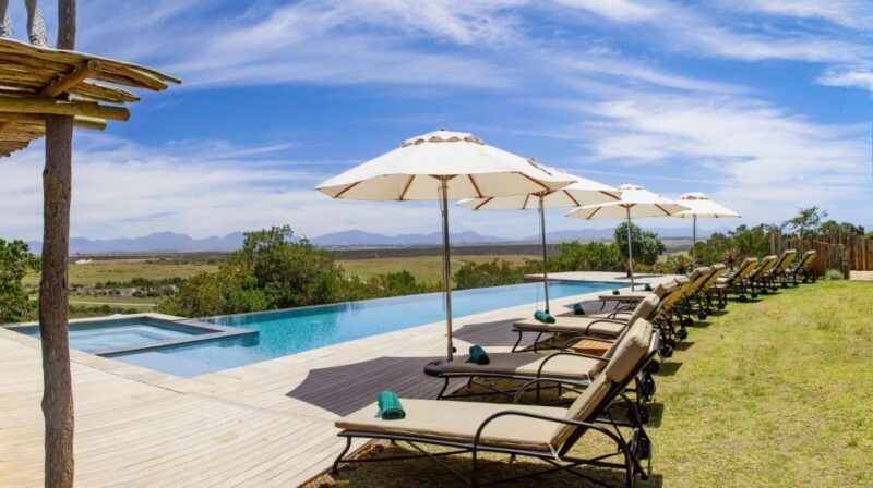 4-Day Garden Route Experience - Exploring the 4-Day Garden Route Experience: A Traveler’s Guide