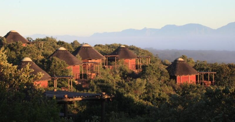 4-Day Garden Route Experience - Who Should Consider This Tour?