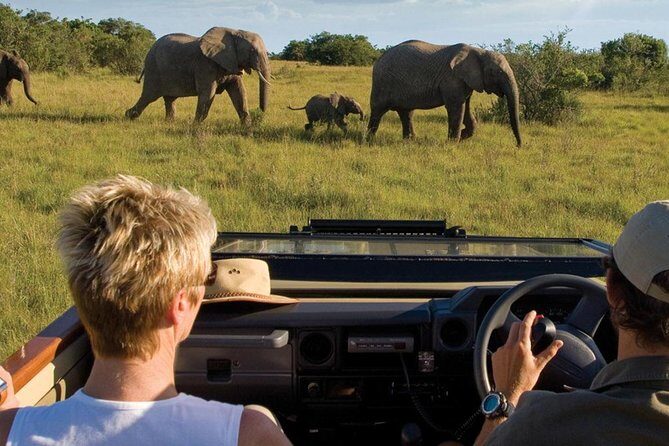 4 Day Garden Route Luxe Selection Micro Group Tour from Cape Town - An Honest Look at the 4 Day Garden Route Luxe Selection Micro Group Tour from Cape Town
