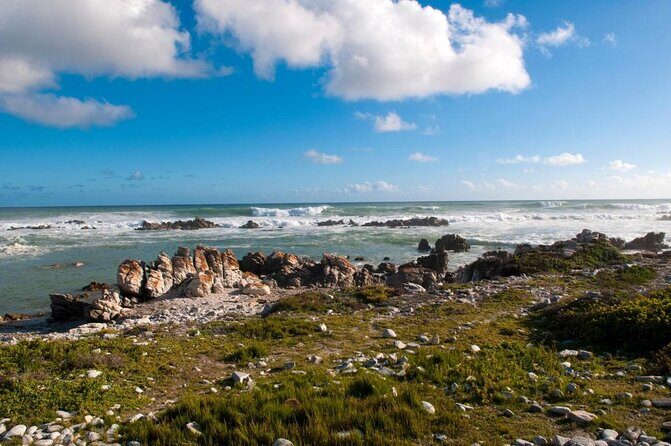 4 Day Garden Route Luxe Selection Micro Group Tour from Cape Town - Key Points