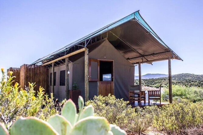 4 Day Garden Route Luxe Selection Micro Group Tour from Cape Town - Who Should Consider This Tour?