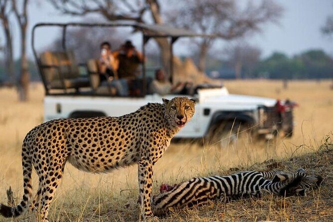 4 Day Garden Route Tour from Cape Town A Hiking and Safari - Who Should Consider This Tour?