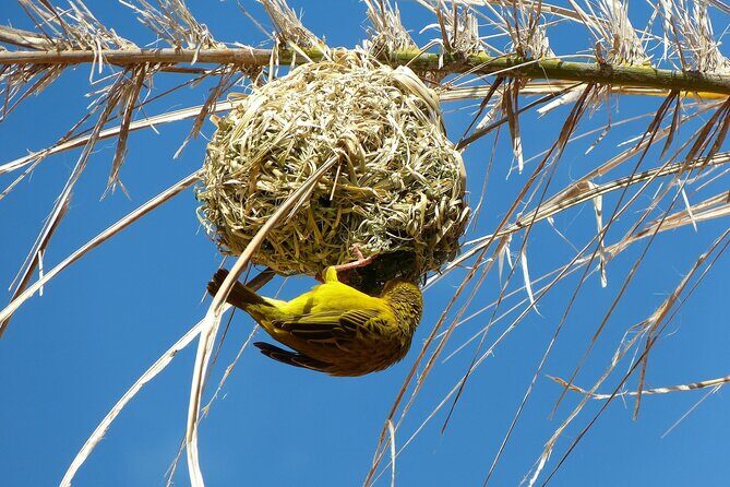 4 Day Garden Route Tour from Cape Town A Hiking and Safari - Final Thoughts